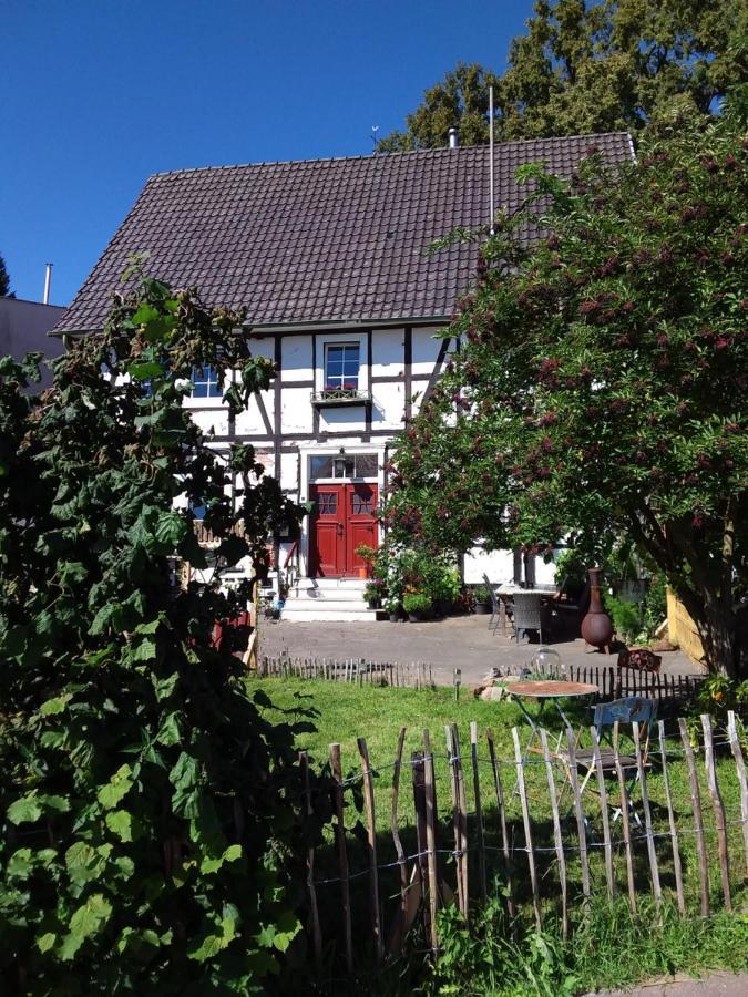 Appartement An Der Bicke Dehringhausen 외부 사진