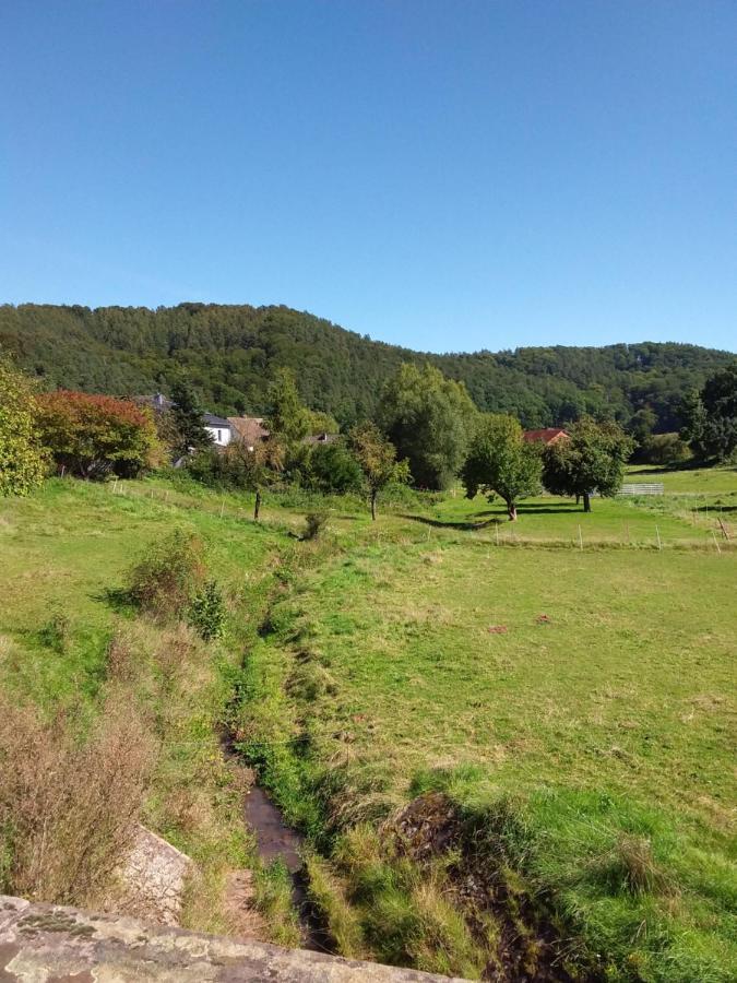 Appartement An Der Bicke Dehringhausen 외부 사진